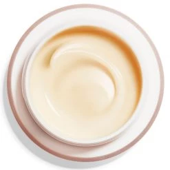 Shiseido Benefiance Wrinkle Smoothing Cream Crema Viso -Negozio al dettaglio [ Aveda] 2022 Shiseido Anti eta Benefiance Wrinkle Smoothing Cream 3