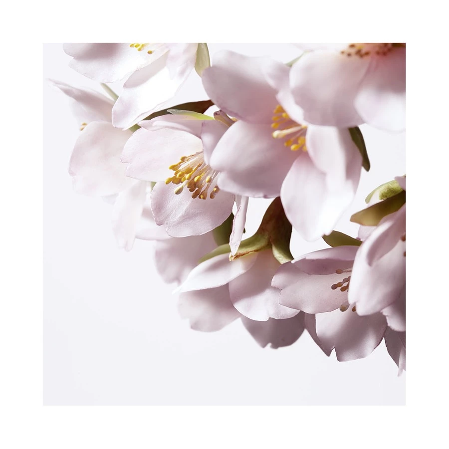 Shiseido Illuminating Micro-Spot Serum Siero 9 Shiseido Illuminating Micro-Spot Serum Siero - immagine 7