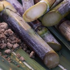 Shiseido Waso Pore Purifying Scrub Mask Maschera -Negozio al dettaglio [ Aveda] 2022 Shiseido WASO Waso Pore Purifying Scrub Mask 4