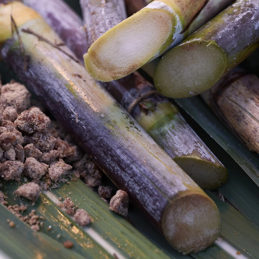 Shiseido Waso Pore Purifying Scrub Mask Maschera 7 Shiseido Waso Pore Purifying Scrub Mask Maschera - immagine 5